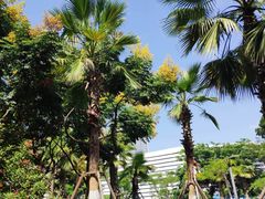 -五通灯塔公园
