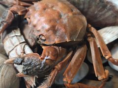 -悟烧·自助烤肉料理(秋林旗舰店)