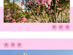 -静安雕塑公园