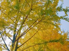 -食膳公园包子铺(烈士公园店)