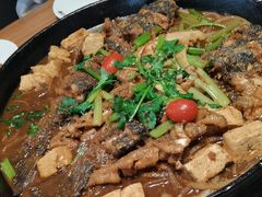 -老板恋上鱼(恒隆广场店)