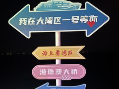 -招商蛇口邮轮母港(观光客运)