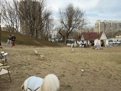 -小意思咖啡店(草桥店)