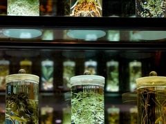 -广东中医药博物馆