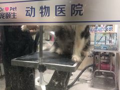 -宠颐生动物医院·小陆分院