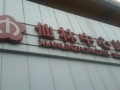 -仙林中心(地铁站)