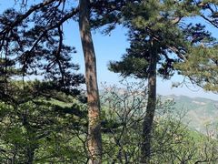 -大芦花风景区
