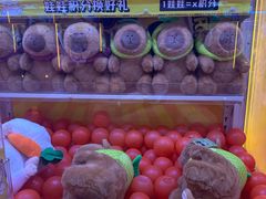 -风云再起游乐汇(北京西单西西友谊店)