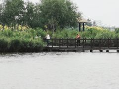 -西青郊野公园