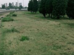 -北运河水利风景区