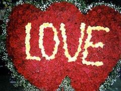 -静岸花卉园艺(三星坊店)