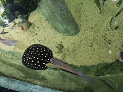 -江和美海洋公园