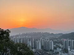 -福道