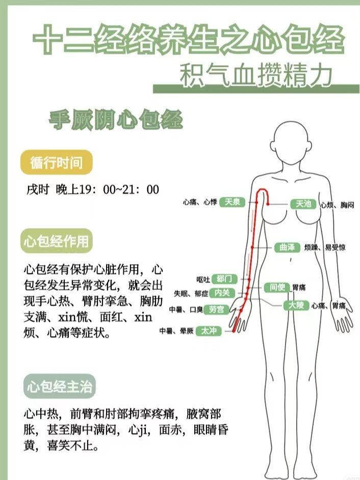 心包经