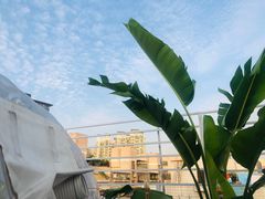 -天空花园餐吧·生日·团建(南山店)