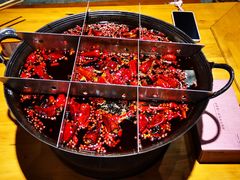 -白乐天毛肚火锅馆(南滨路店)