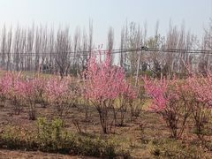 -瀛海足球主题公园