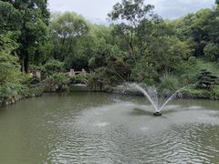 -上海醉白池公园