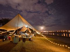 -春花秋色城市公园