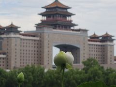 -莲花池公园