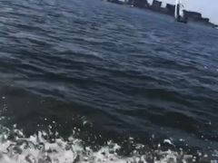 -滴水湖帆船营地