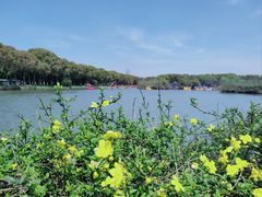 -沙家浜风景区