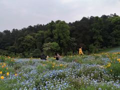 -保利石象湖景区