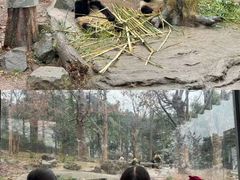 -英孚教育青少儿(长安中心)