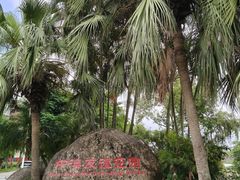 -中澳友谊花园