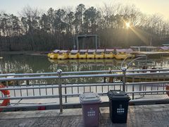 -上海海湾国家森林公园