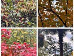 -西安市长乐公园