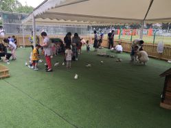 -萌宠亲子动物乐园(槐房万达店)