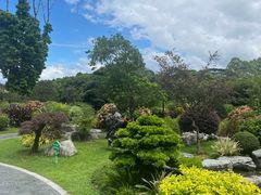 -东莞植物园