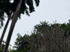-南宁南湖公园