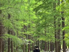 -艾溪湖湿地公园