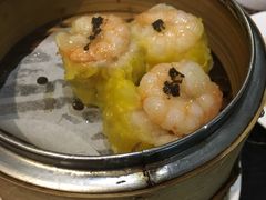 -糖朝(尖沙咀店)