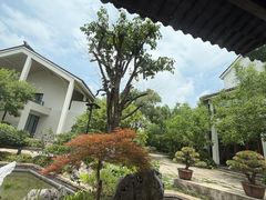 -广富林宰相府酒店·水云间
