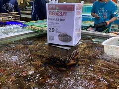 -盒马鲜生(红莲店)