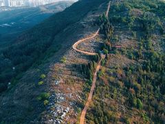 -长虫山生态公园风景林