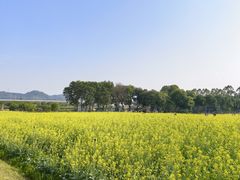 -光明小镇欢乐田园