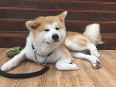 -YCHL Studios健身工作室(市二宫店)