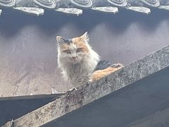-莲湖公园