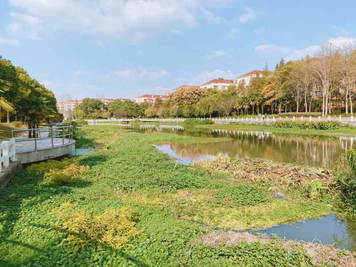 普陀体育公园-"这个公园环境挺好的,早晚散步晨跑的人非常.