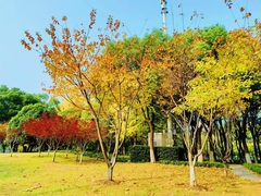 -后襄河公园