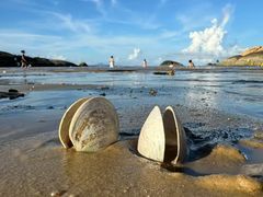 -华源餐厅·海鲜大排档(日月贝店)