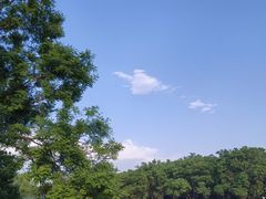 -北京世界公园