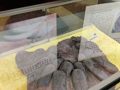 -诸城市恐龙博物馆