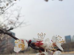 -西安锦江国际酒店
