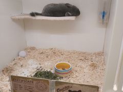 -龙猫仔乐园(惠福东路店)