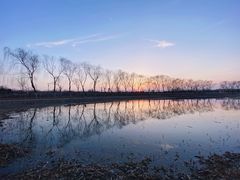 -大兴滨河森林公园